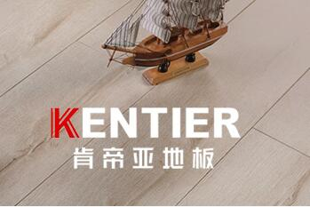 肯帝亚地板 手机扫一扫